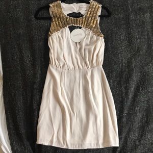 Keepsake Greek goddess dress!